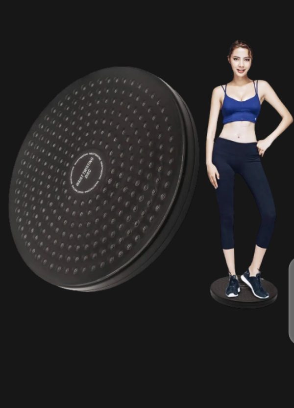 Twister Disc, Weight Loss, Weight Loss Machine / Ab Twister & Plate, Exercise Fitness Slim Machine Plate.